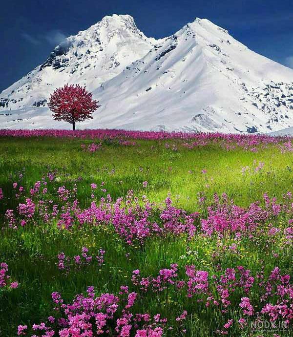 طبیعت دیدنی و زیبای داماش - اسلايد تصاوير - عکس شماره 1 - جهان نيوز طبیعت دیدنی و زیبای داماش - اسلايد تصاوير - عکس شماره 1 - جهان نيوز