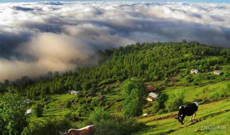 عکس از شهر فیلبند