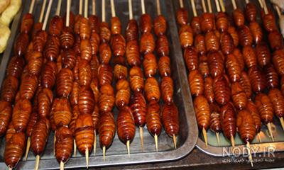 عکس حیوان چندش