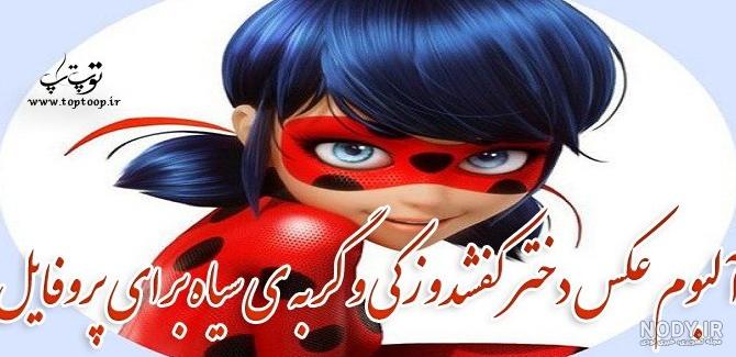 عکس ضریح زیبا