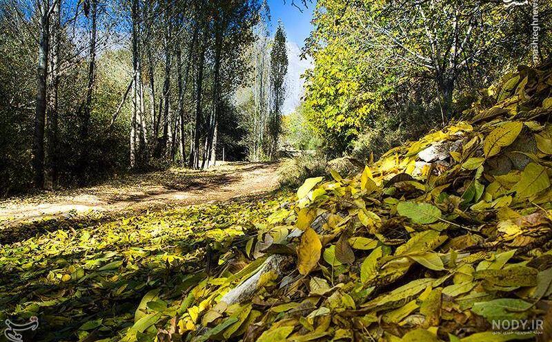 (فیلم) جاذبه های گردشگری و جاهای دیدنی لرستان | ساعدنیوز