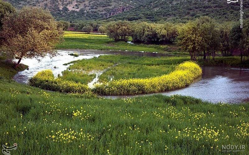 مشرق نیوز - عکس/ طبیعت زیبای لرستان