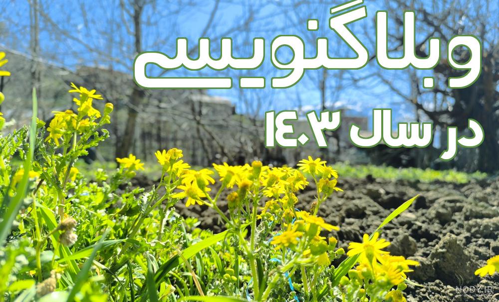 معرفی شخصیت های آکادمی قهرمانی من(درخواستی آجی گلم💜💜) - تستچی معرفی شخصیت های آکادمی قهرمانی من(درخواستی آجی گلم💜💜) - تستچی