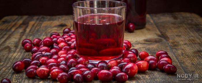 کشت زغال اخته از طریق بذر, خوابانیدن, قلمه کشت زغال اخته از طریق بذر, خوابانیدن, قلمه