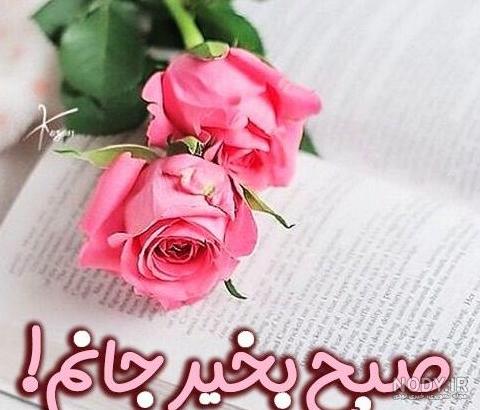 استوری صبح بخیر #روز بخیر #ایده استوری#گل#عکس نوشته#روزمرگی#خدا ... استوری صبح بخیر #روز بخیر #ایده استوری#گل#عکس نوشته#روزمرگی#خدا ...