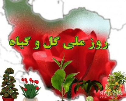 ایمنا - کار در کنار گل و گیاه ایمنا - کار در کنار گل و گیاه