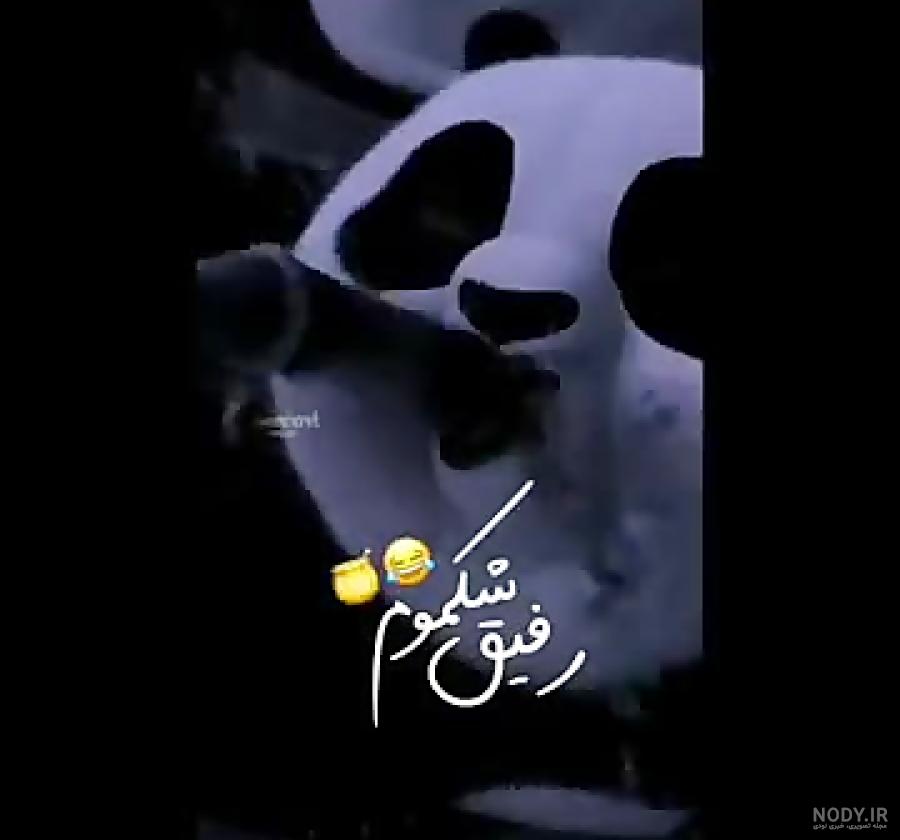 رفیق شکمو رفیق شکمو