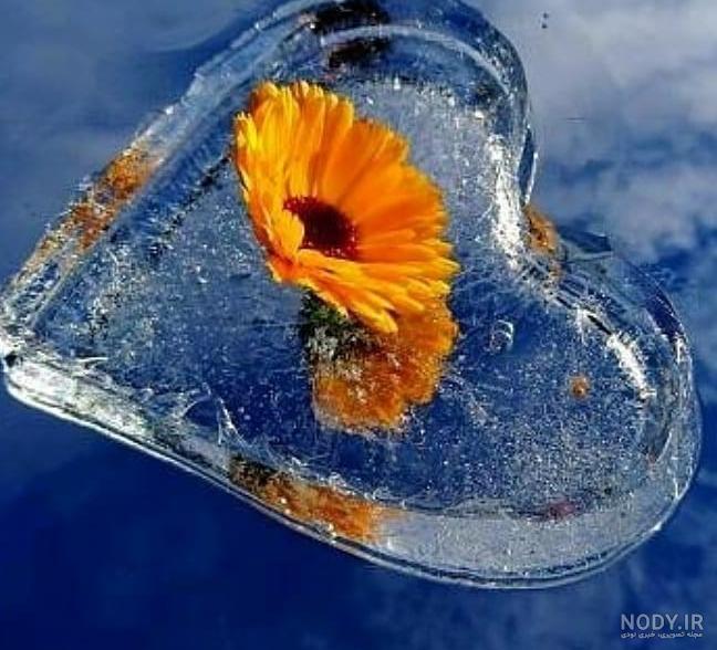 عکس از قلب های زیبا و عاشقانه