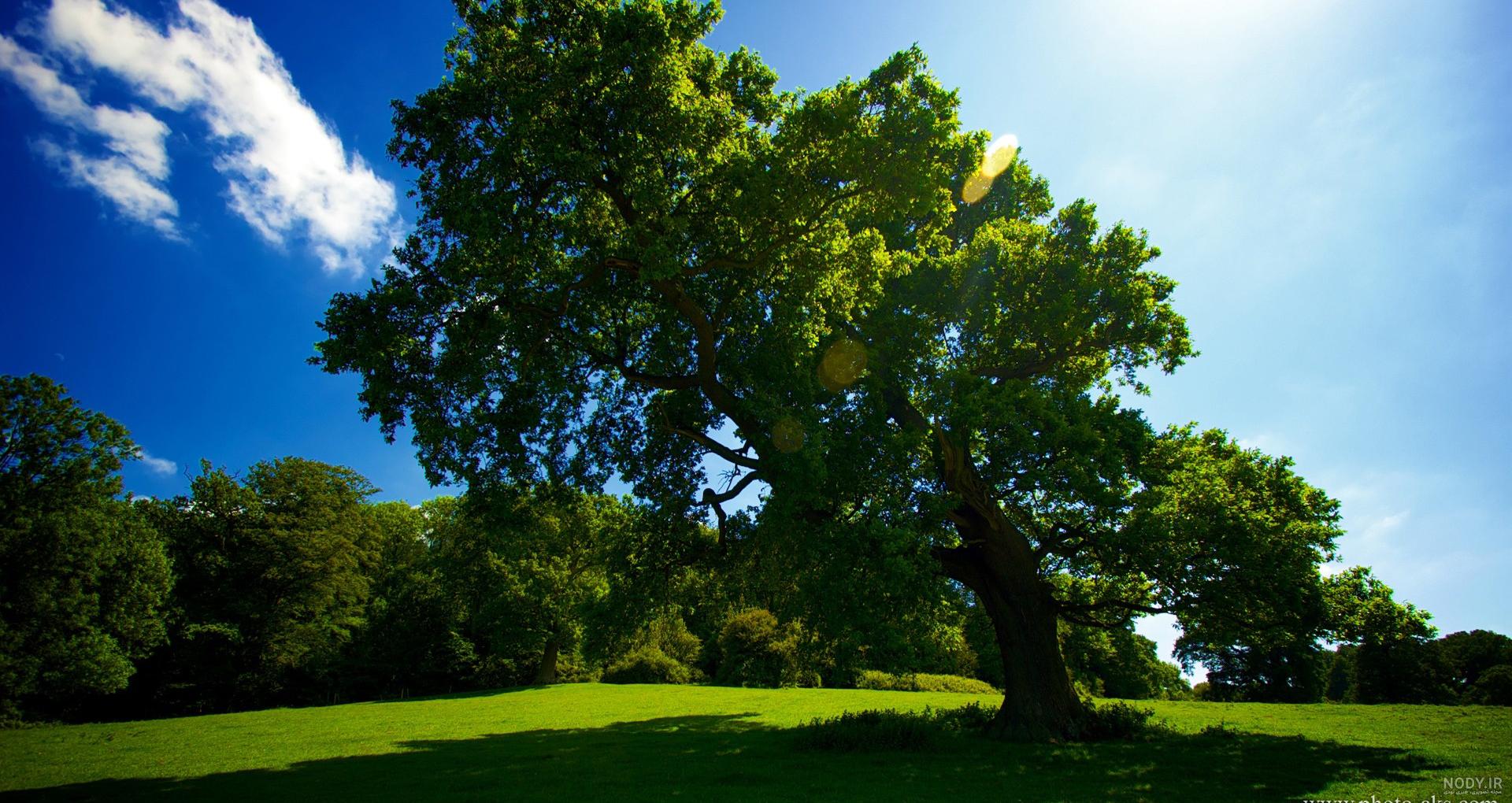 عکس حاشیه دور کاغذ - مسترگراف