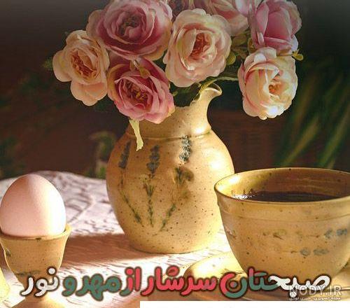 عکس سلام صبح بخیر گل - عکس نودی عکس سلام صبح بخیر گل - عکس نودی