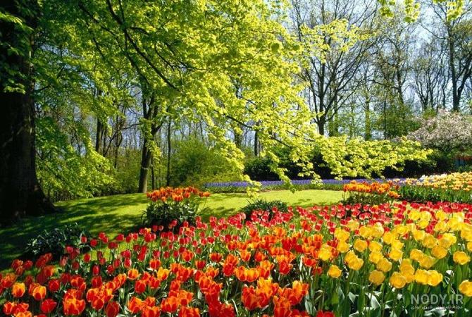 عکس مدل های زال - عکس نودی