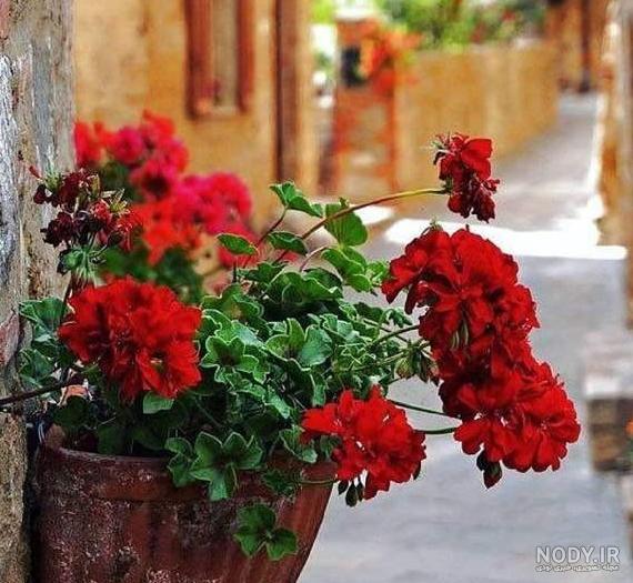 عکس نوشته خدایا آرامش این روزهایم باش عکس نوشته خدایا آرامش این روزهایم باش