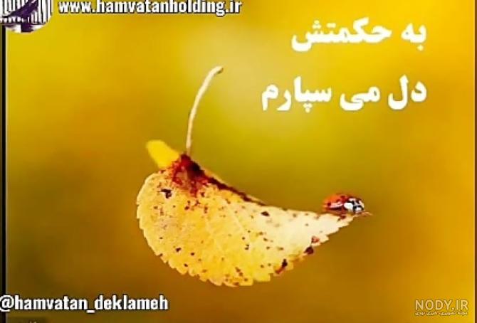 عکس نوشته خیانت در اوج اعتماد