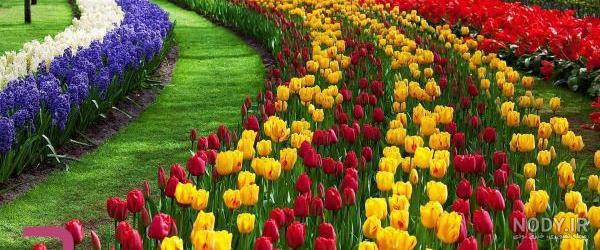 عکس نوشته روز گل و گیاه عکس نوشته روز گل و گیاه