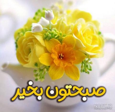 عکس نوشته گل سلام صبح بخیر - عکس نودی عکس نوشته گل سلام صبح بخیر - عکس نودی