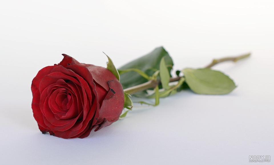 عکس هالک سبز و قرمز