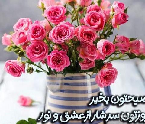 عکس گل صبح بخیر ❤️ [ بهترین تصاویر ]