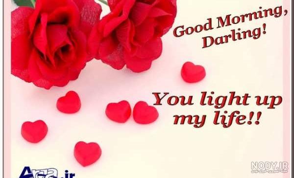 عکس گل صبح بخیر ❤️ [ بهترین تصاویر ]