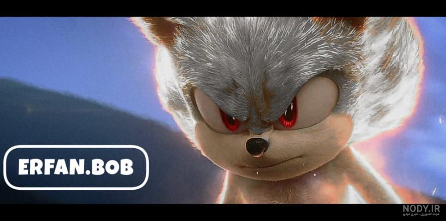 فروشگاه آنلاین دردونه | استند سونیک ایکس (Sonic X) - ارتفاع 70 ... فروشگاه آنلاین دردونه | استند سونیک ایکس (Sonic X) - ارتفاع 70 ...