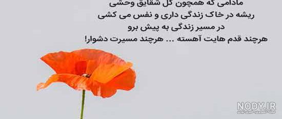کلیپ فوت مادر بزرگ برای وضعیت واتساپ - تــــــــوپ تـــــــــاپ کلیپ فوت مادر بزرگ برای وضعیت واتساپ - تــــــــوپ تـــــــــاپ