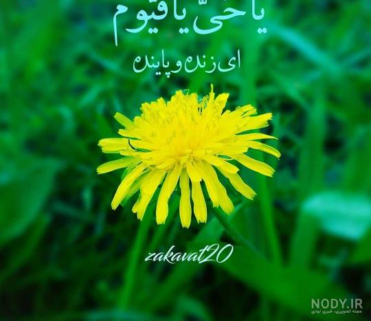 آداب و اعمال روز چهارشنبه | موسسه تحقیقات و نشر معارف اهل البیت علیهم ...