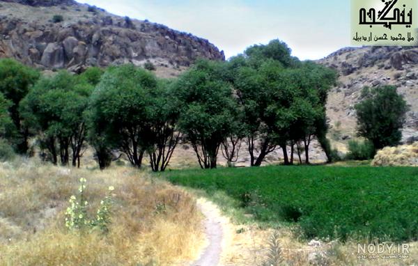 تصاویر روستای ینگجه