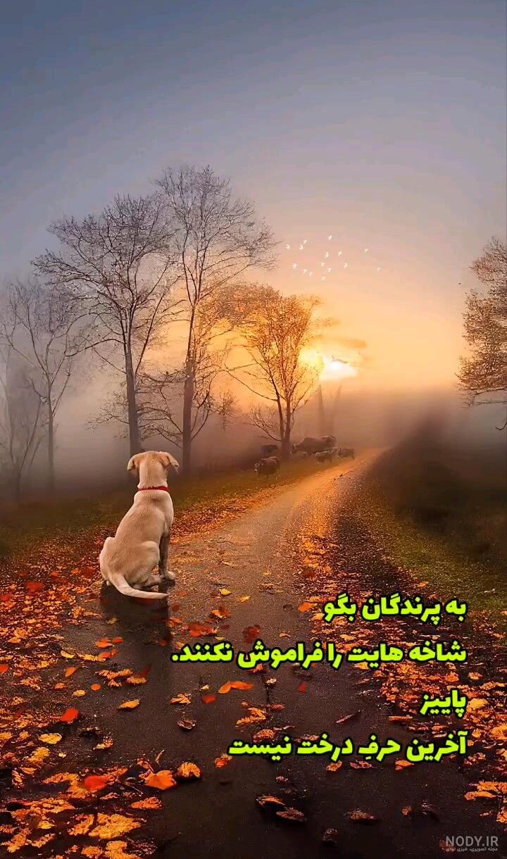 عکس استیکر عید نوروز مبارک | عمو نوروز | گیف گیف