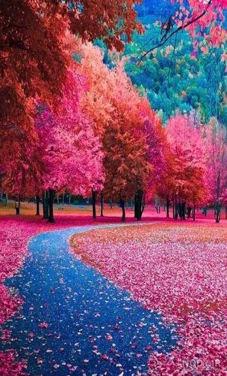 عکس تصویر زمینه گوشی جدید