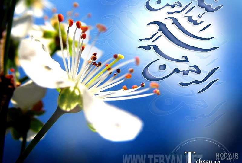 عکس های زیبای آیت الله بهجت