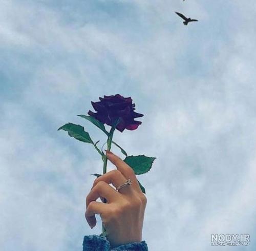 عکس زیبای پروفایل شیک ❤️ [ بهترین تصاویر ]