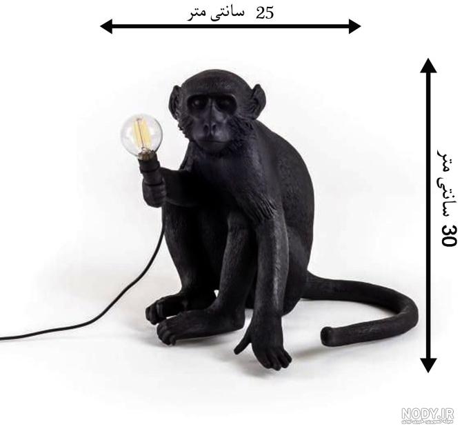 عکس شاد از حرم امام حسین