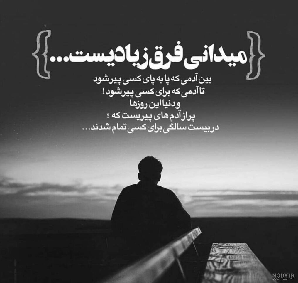 عکس شیر برای پروفایل سیاه سفید