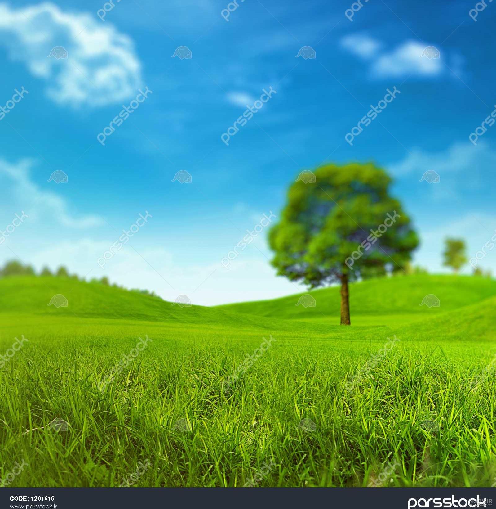 عکس ظهر