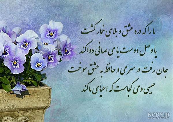 عکس عاشقانه حافظ ❤️ [ بهترین تصاویر ]