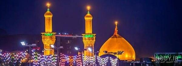 عکس میمون ظرفشور