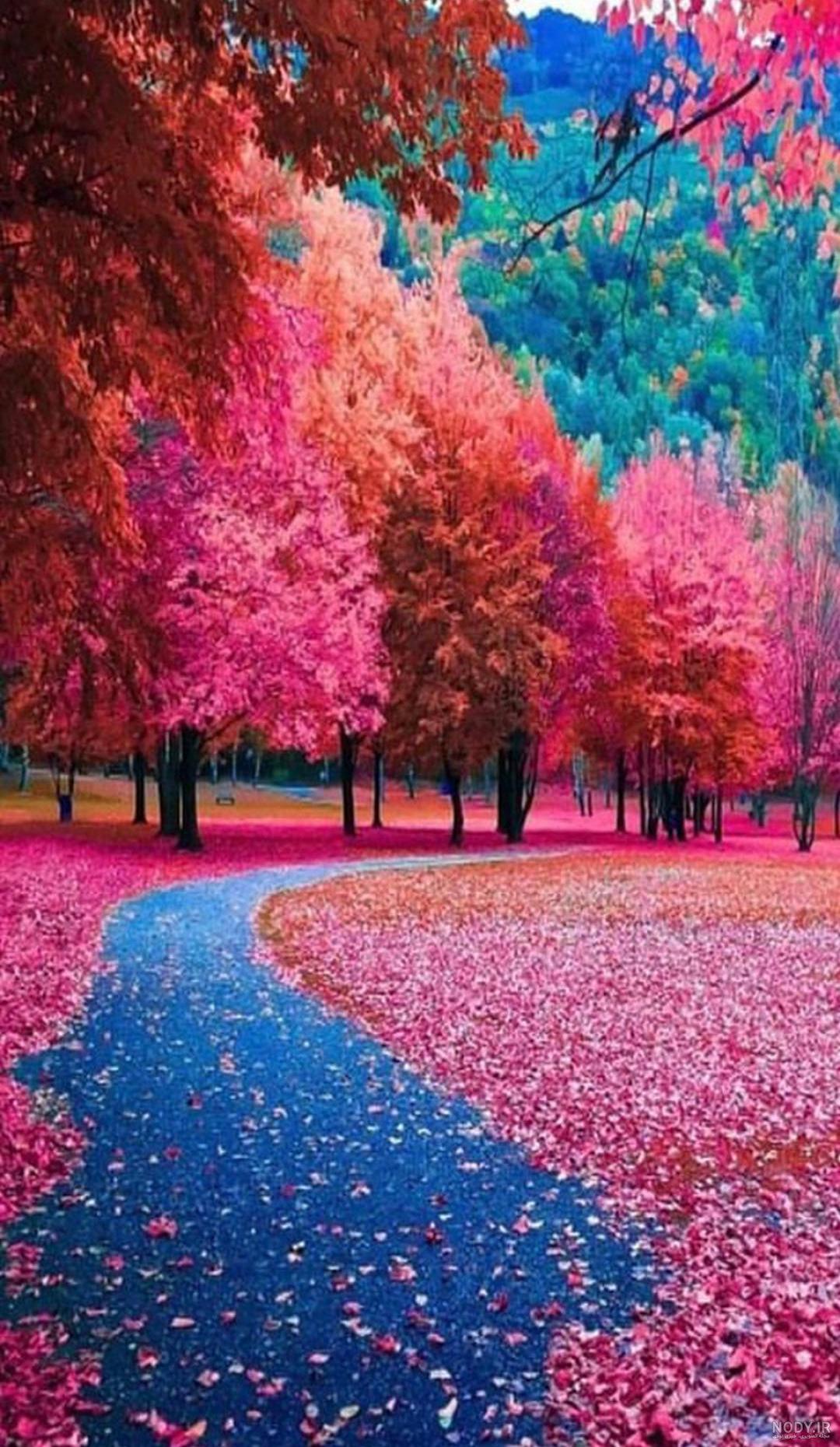 عکس پروفایل طبیعت خاص و زیبا | دانلود عکس های طبیعت برای پروفایل تگلرام ...