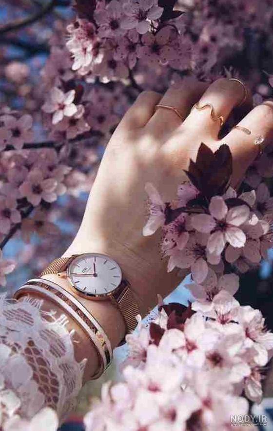 عکس گلهای زیبای بهاری برای پروفایل - عکس نودی عکس گلهای زیبای بهاری برای پروفایل - عکس نودی