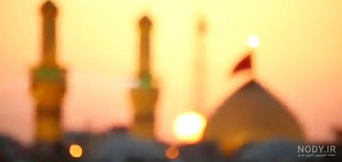 میمون ظرف شور - ویدیو ‌برگر