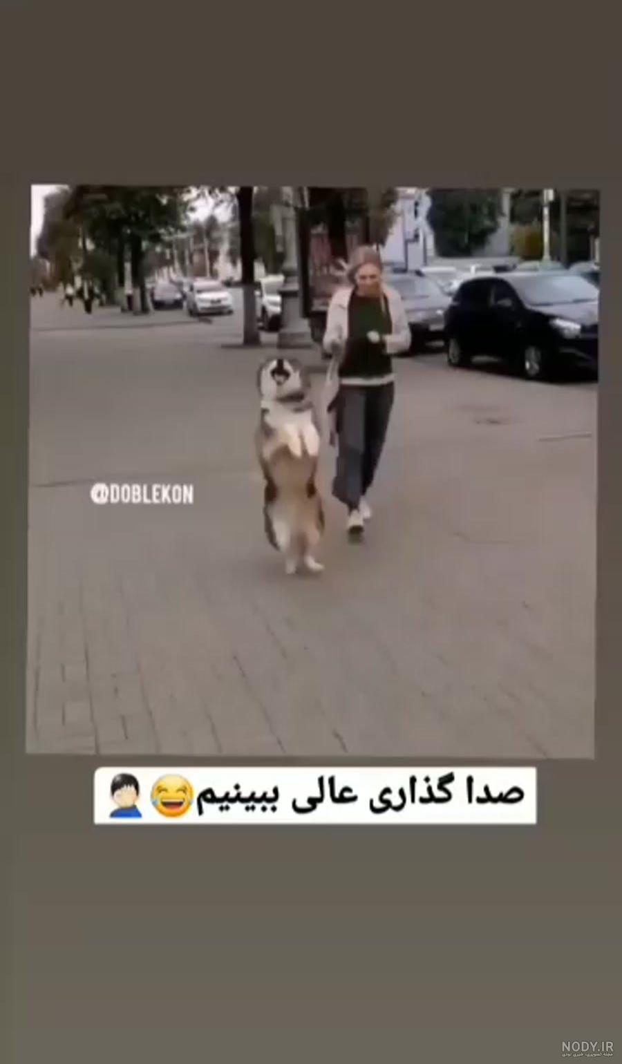 گولاخ کسن ترکی بچه