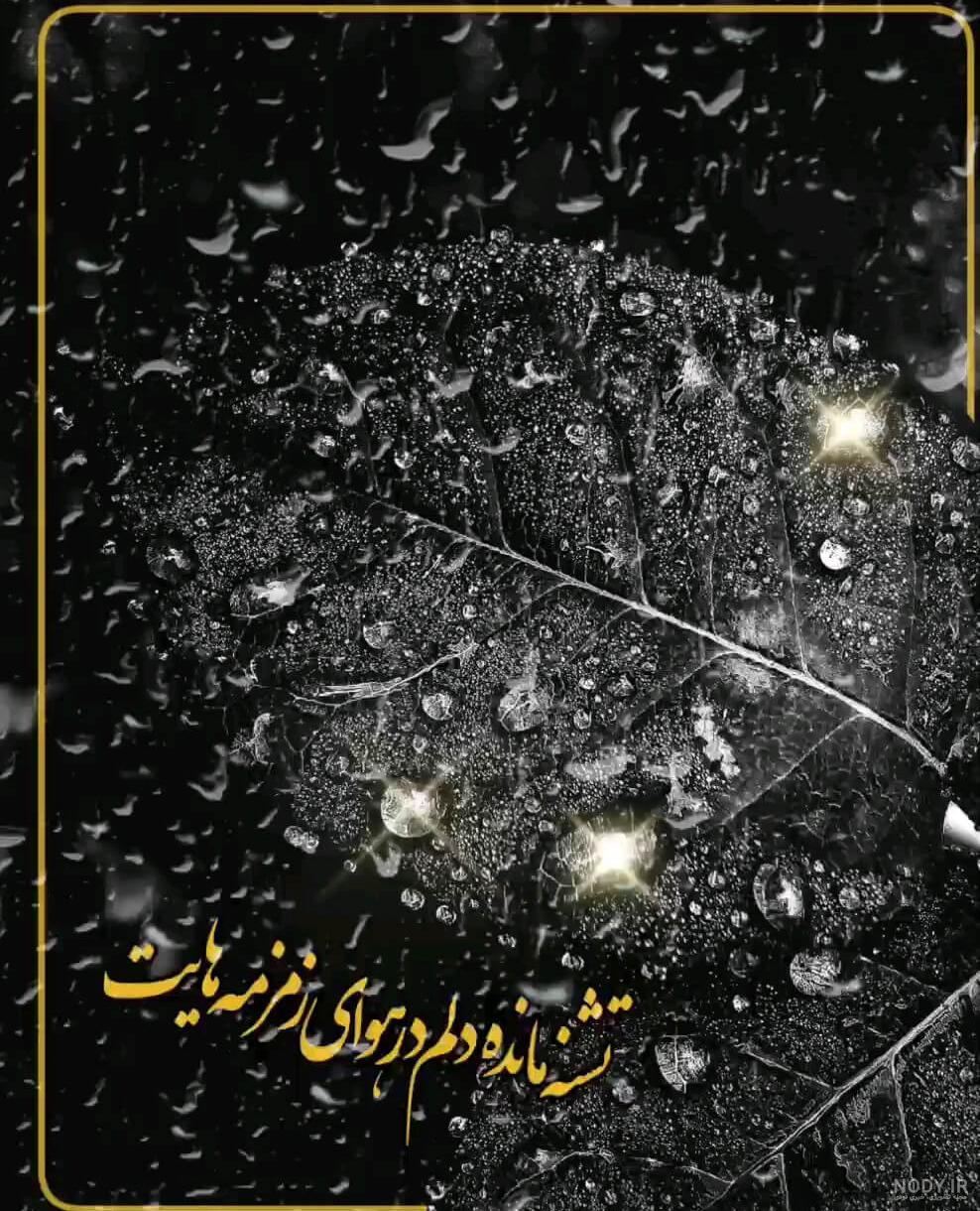 گیف حرم امام حسین | گیف گیف