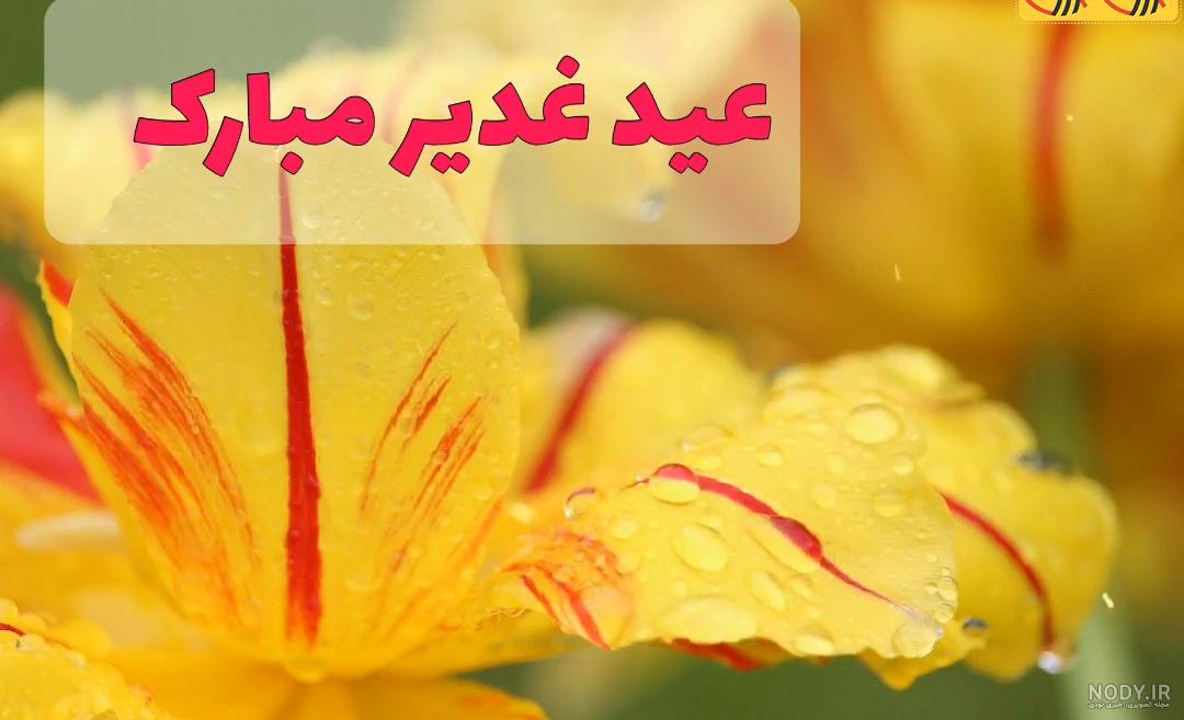 گیف صبح جمعه بخیر | گیف گیف