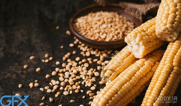 30 عکس ذرت🌽دانلود عکس ذرت و بلال با کیفیت بالا 30 عکس ذرت🌽دانلود عکس ذرت و بلال با کیفیت بالا