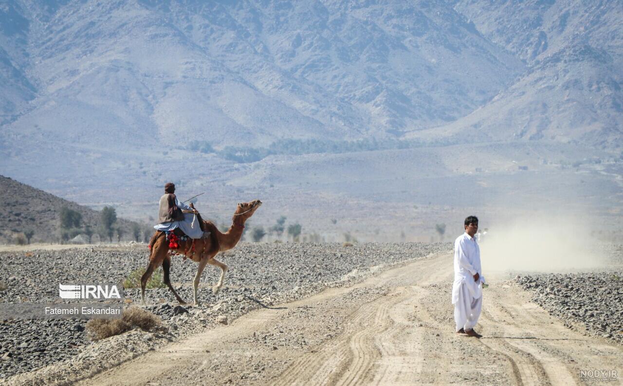 آموزش نقاشی شتر | فیلم نقاشی شتر مناسب کودکان | وولک آموزش نقاشی شتر | فیلم نقاشی شتر مناسب کودکان | وولک