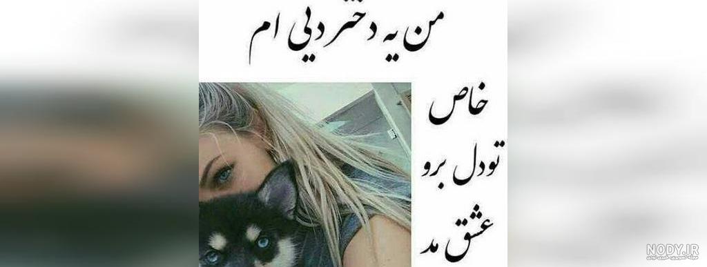 استوری عشق دی ماهی من تولدت مبارک (با عکس و کلیپ) - جدید 1402 ⭐️شبونه