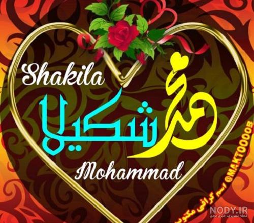 بایگانی‌های عکس نوشته شیوا دوست دارم - کامل (مولیزی)