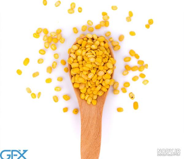 برداشت ذرت دانه ای در گیلانغرب/ بالغ بر 2 هزار هکتار از مزارع ... برداشت ذرت دانه ای در گیلانغرب/ بالغ بر 2 هزار هکتار از مزارع ...