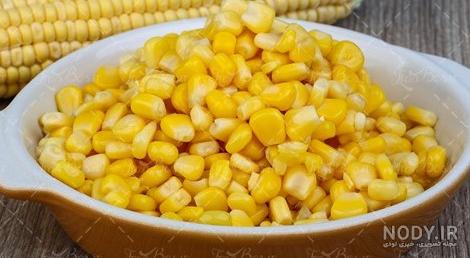 برداشت ذرت دانه ای در گیلانغرب/ بالغ بر 2 هزار هکتار از مزارع ... برداشت ذرت دانه ای در گیلانغرب/ بالغ بر 2 هزار هکتار از مزارع ...