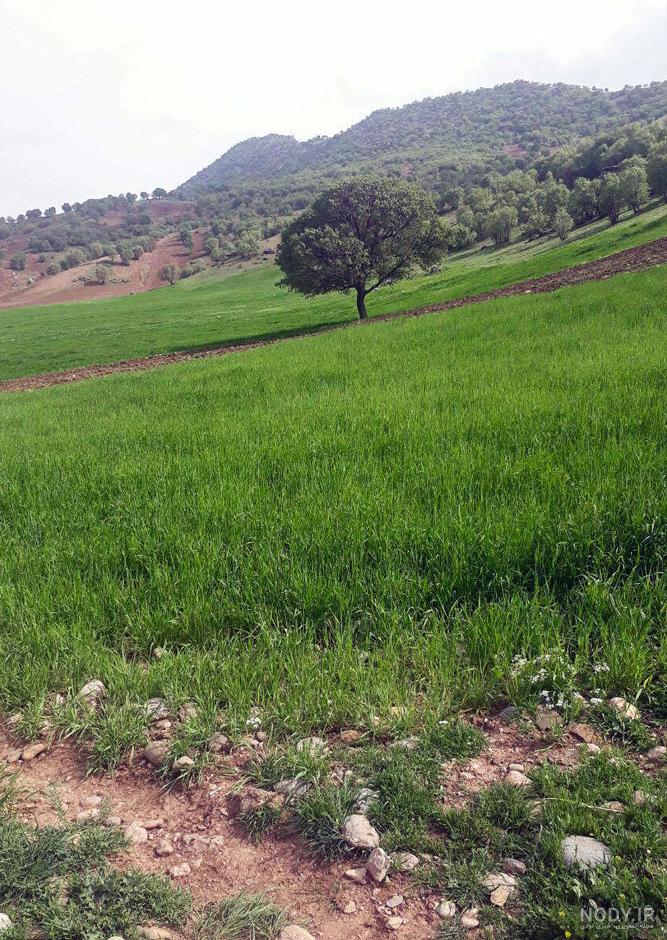 تصاویر لرستان | شگفت زده از این همه زیبایی ایران ☀️ کارناوال تصاویر لرستان | شگفت زده از این همه زیبایی ایران ☀️ کارناوال