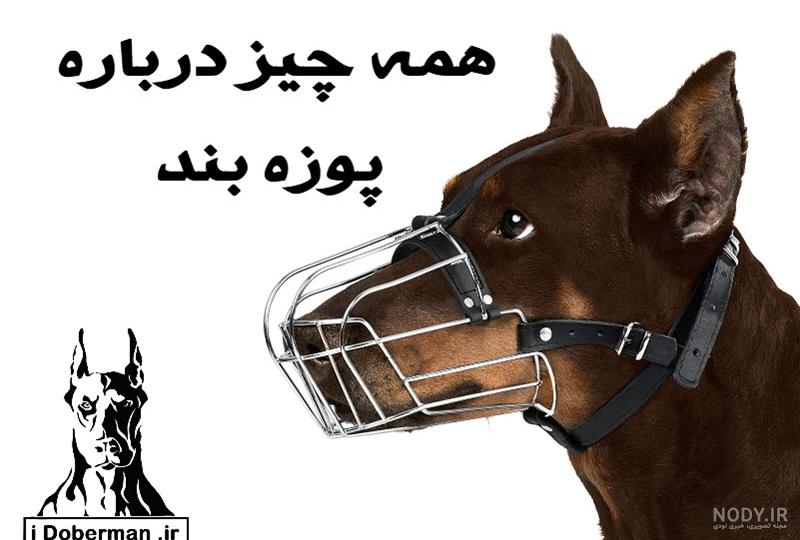 توانایی‌های پوست انسان در این حسگر جدید جمع شده‌اند - ایسنا