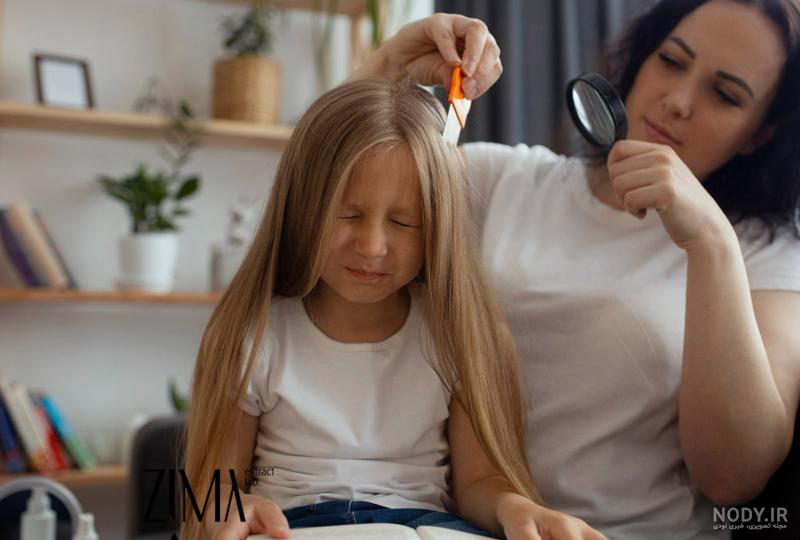 حشره شپش چیست؟ 5 راه از بین بردن این حشره مزاحم (+عکس) حشره شپش چیست؟ 5 راه از بین بردن این حشره مزاحم (+عکس)